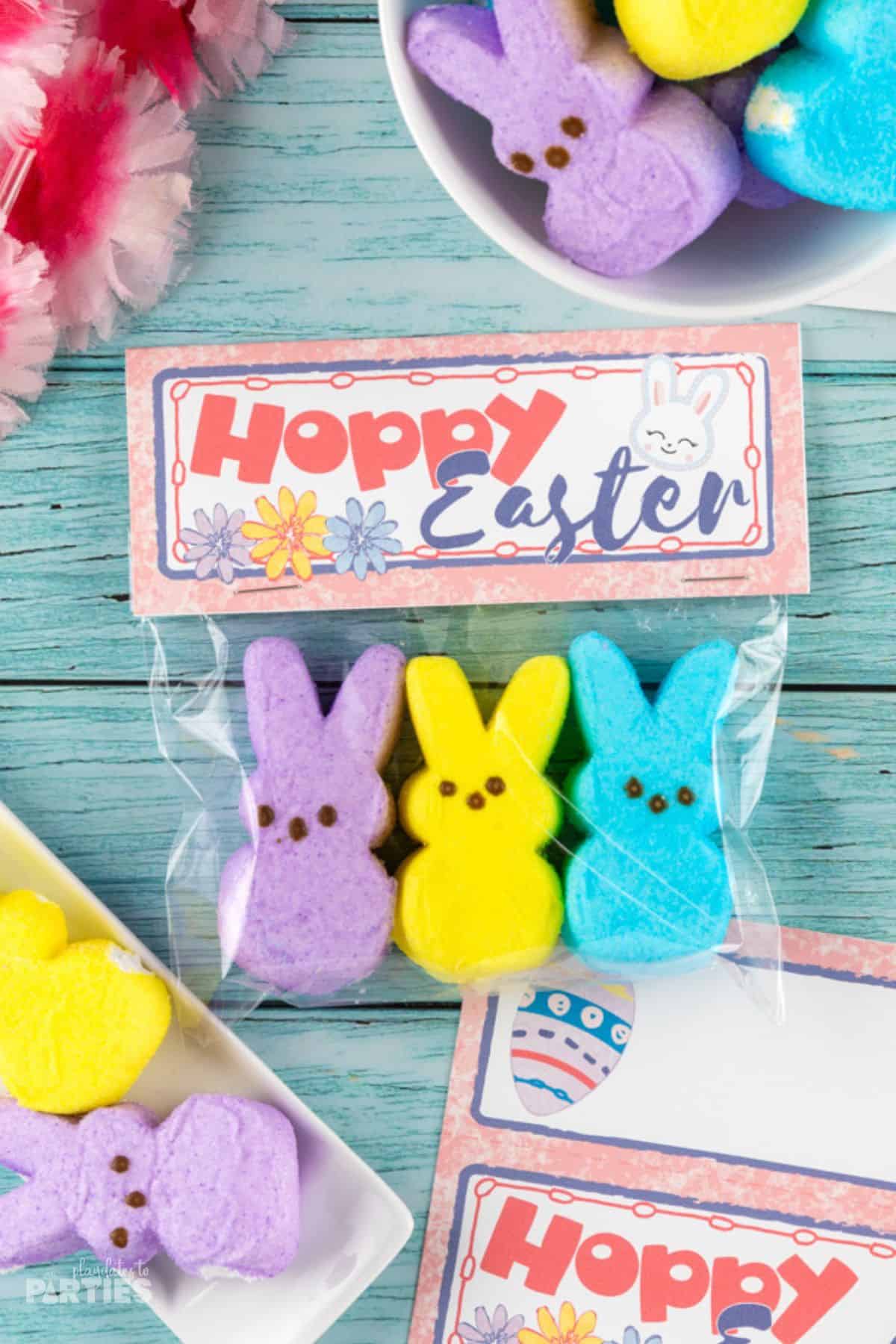 Hoppy Easter Treat Bag Toppers